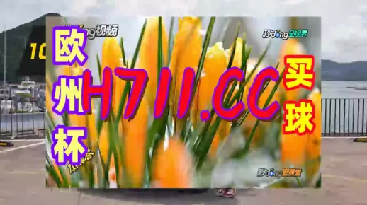澳门管家婆一肖一码一中一开,警惕虚假宣传落实,综合解答解释落实